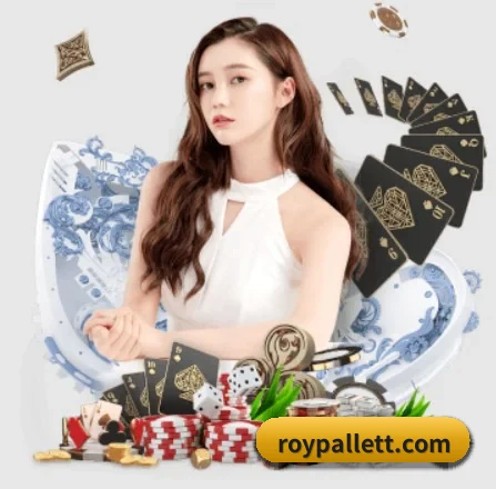 专业赛事服务, 为你而来